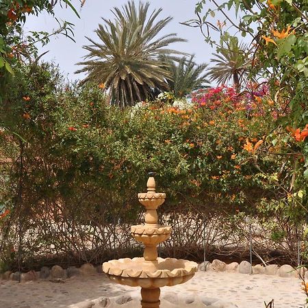 La Palmeraie De Massa Zaouit Massa Exteriér fotografie