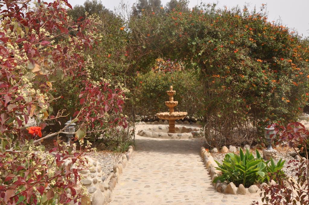 La Palmeraie De Massa Zaouit Massa Exteriér fotografie