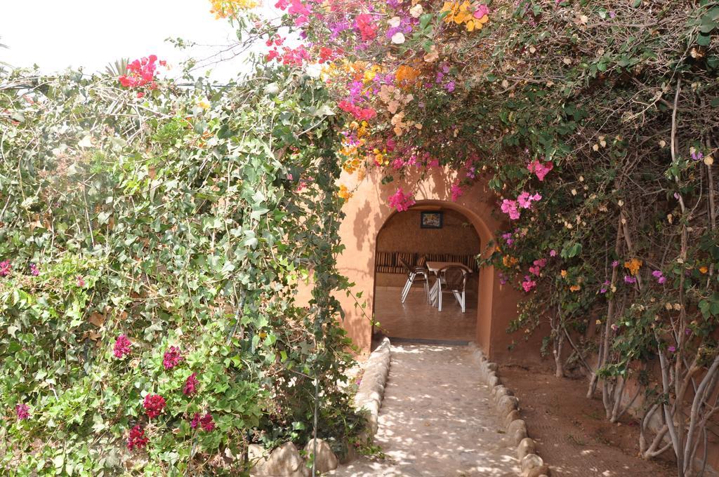 La Palmeraie De Massa Zaouit Massa Exteriér fotografie