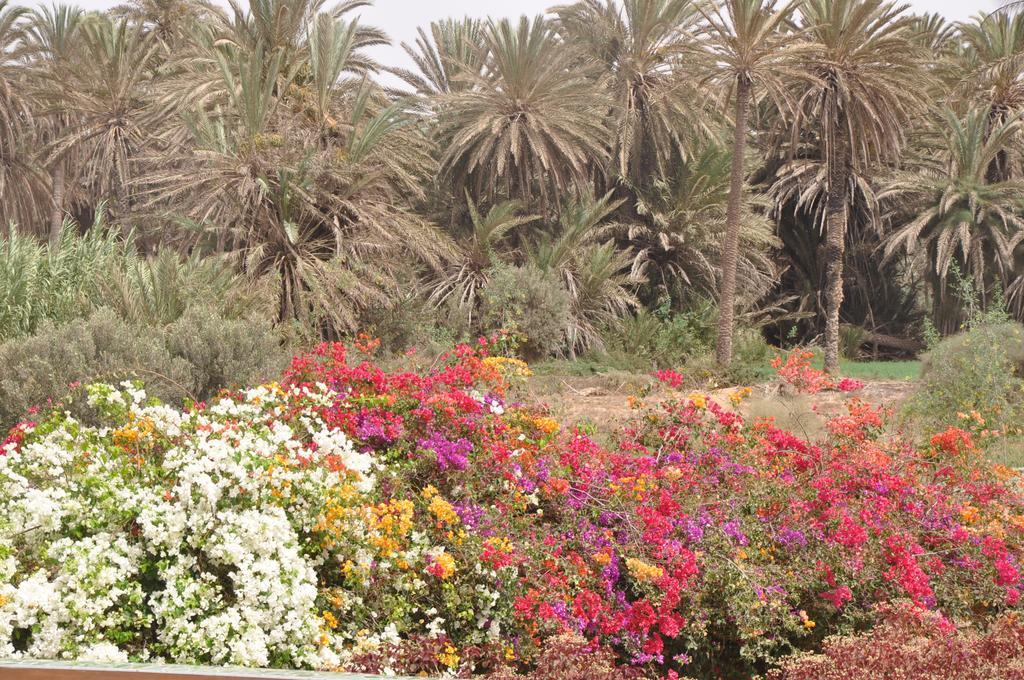La Palmeraie De Massa Zaouit Massa Exteriér fotografie