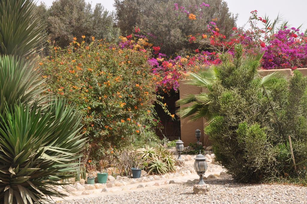 La Palmeraie De Massa Zaouit Massa Exteriér fotografie