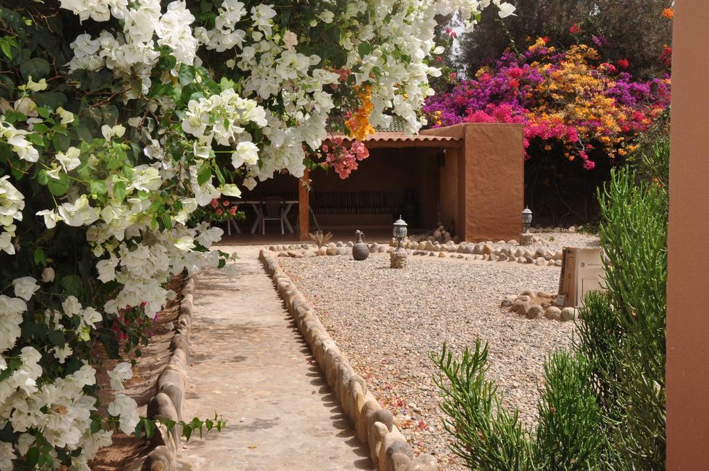 La Palmeraie De Massa Zaouit Massa Exteriér fotografie