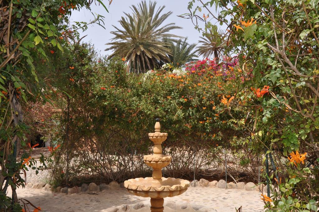 La Palmeraie De Massa Zaouit Massa Exteriér fotografie